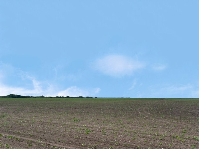 CR 48, 40.81 AC, Robstown, TX 78380