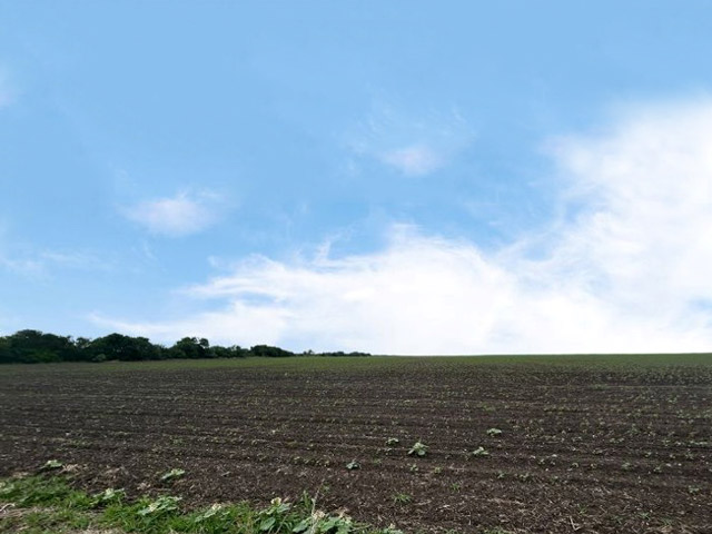 CR 48, 54.166 AC, Robstown, TX 78380